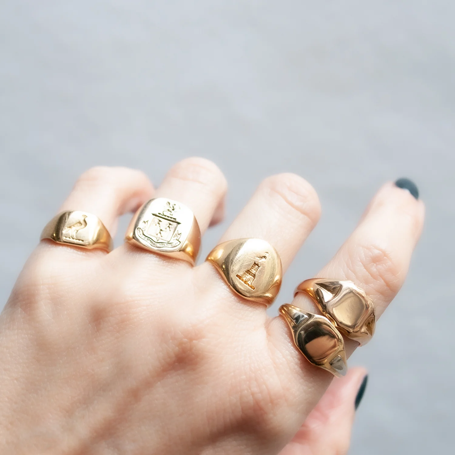 Chester Shield Signet Ring - Image 7