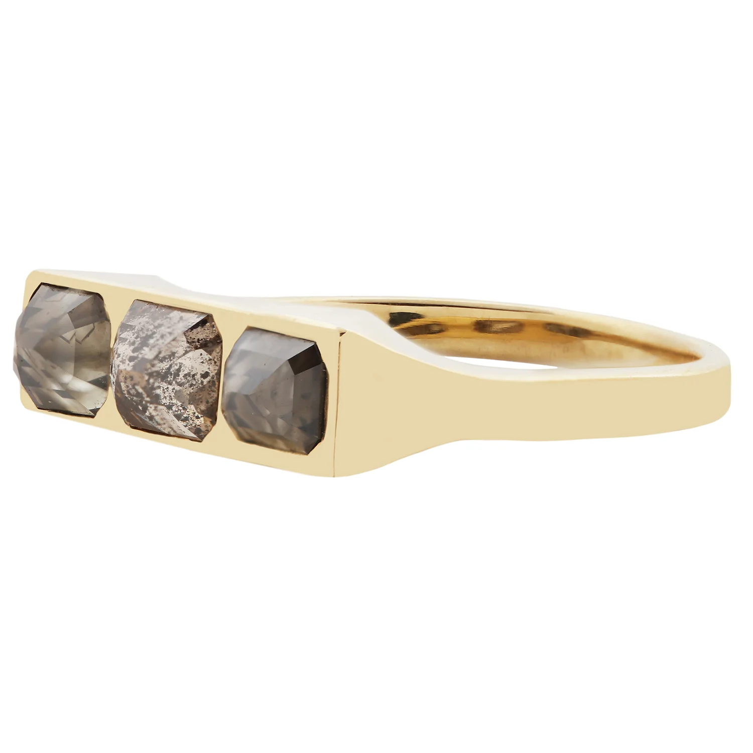 Desert Horizon Guardian Bar Ring - Image 3