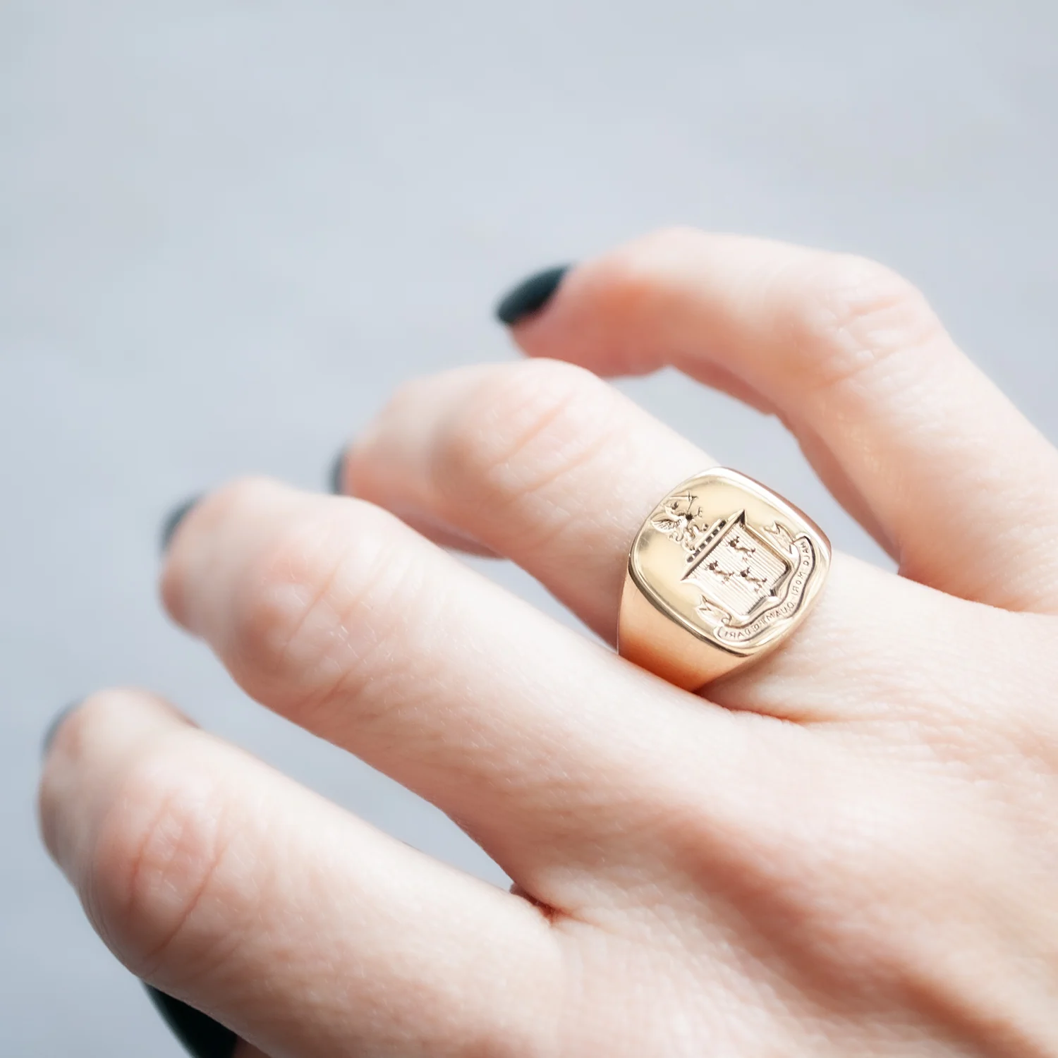 Griffin Crest Tiffany & Co Signet Ring - Image 2