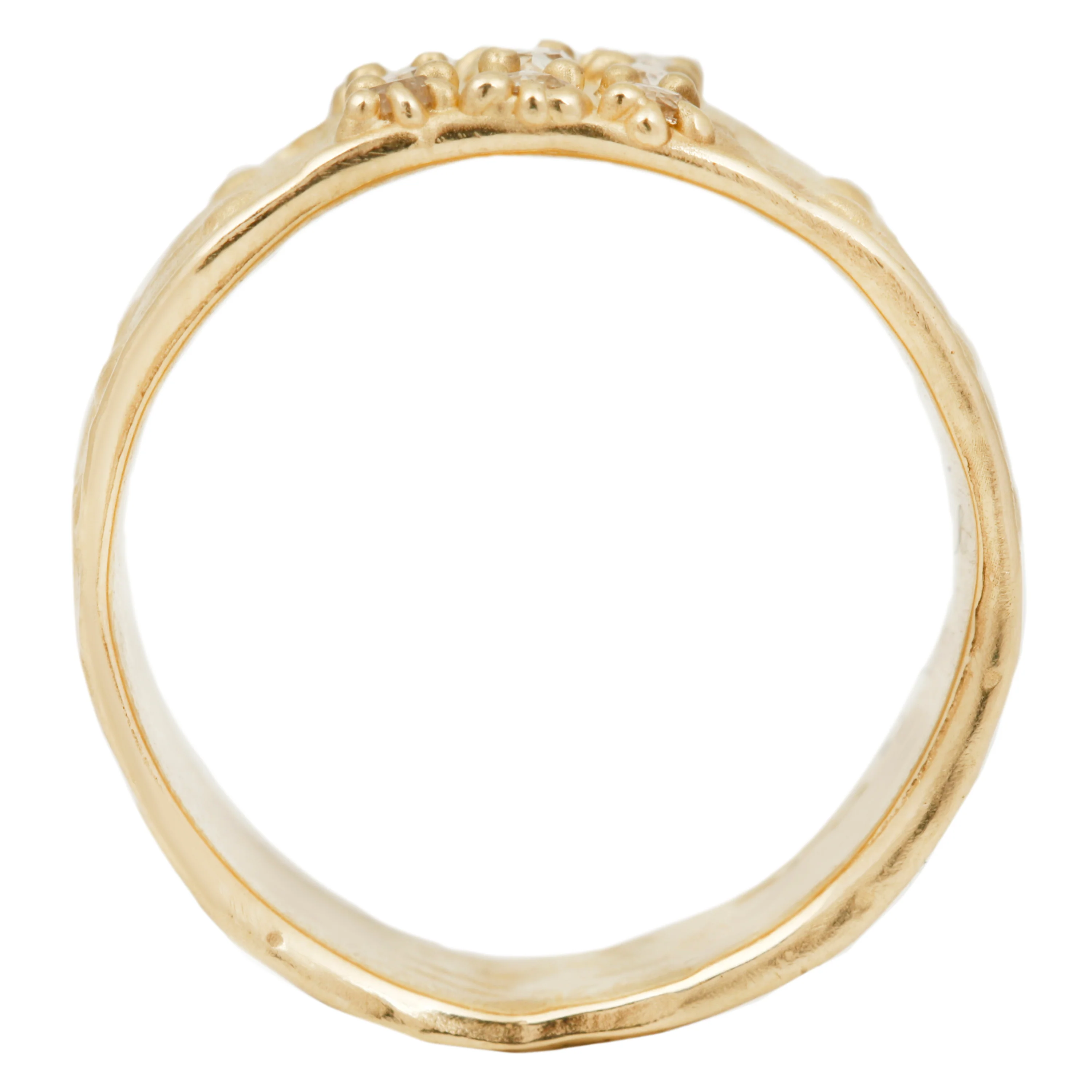 Nine Diamond Fern Band - Image 4