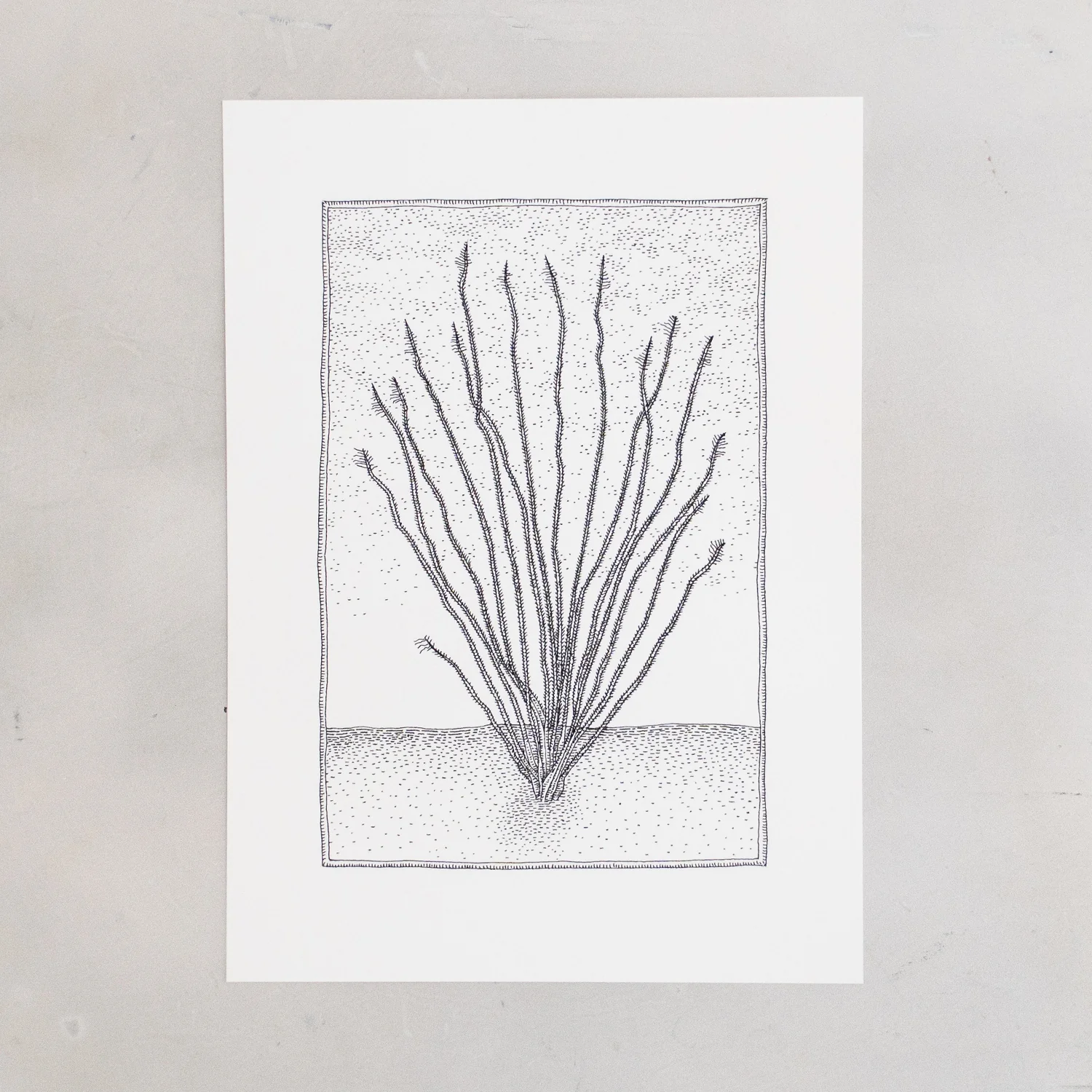 Ocotillo Print - Image 2
