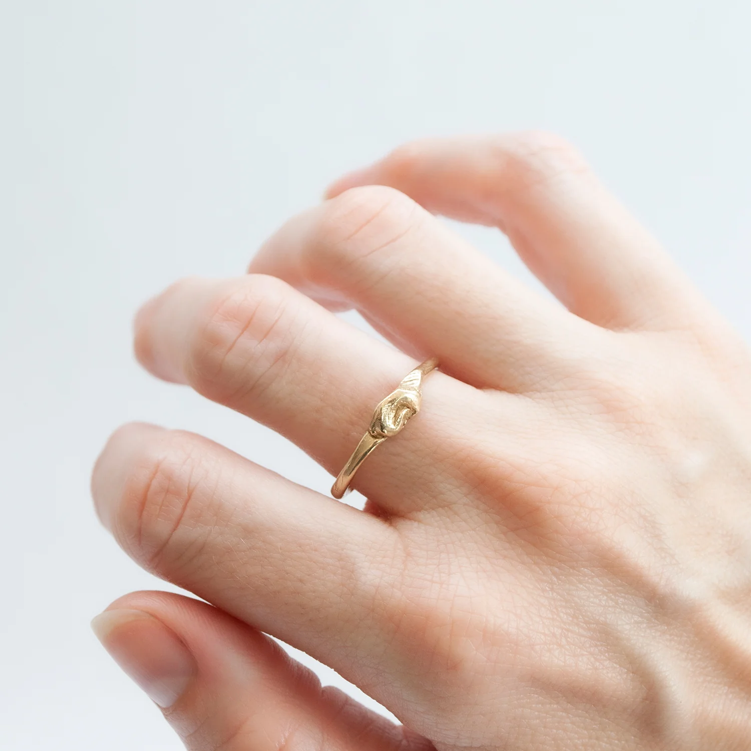 The Knot Ring - Image 2