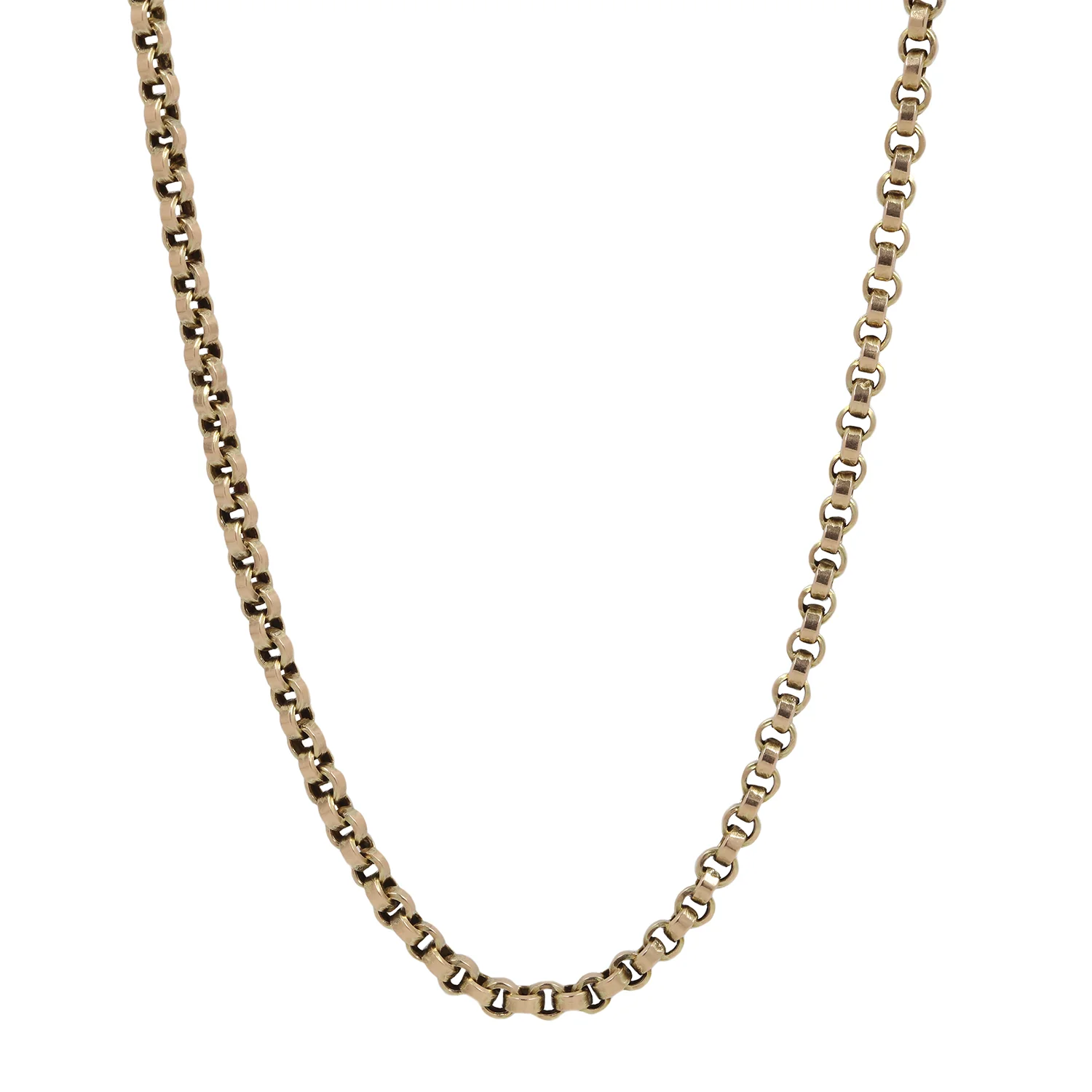 Victorian Long Guard Chain - Image 3