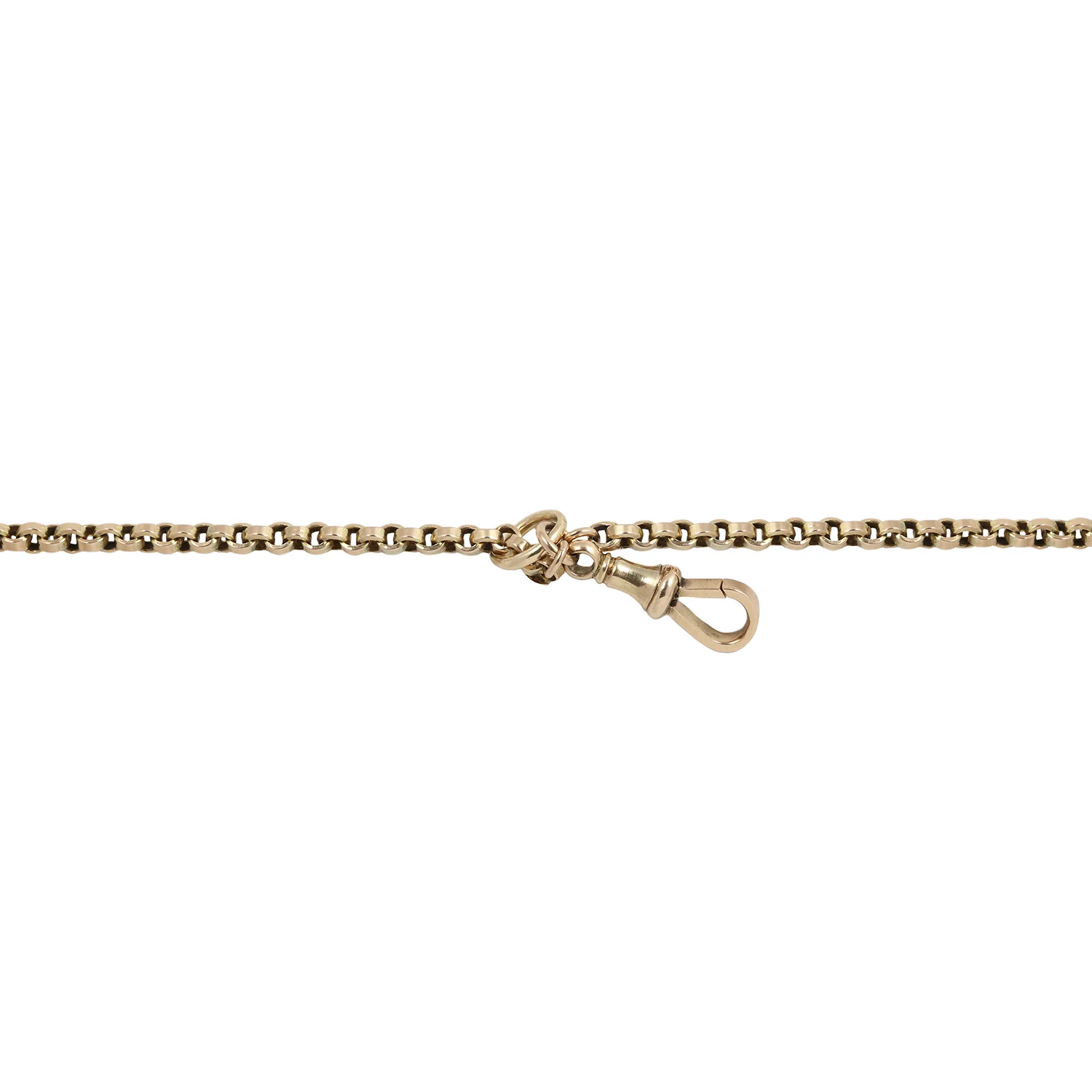 Victorian Long Guard Chain - Image 4