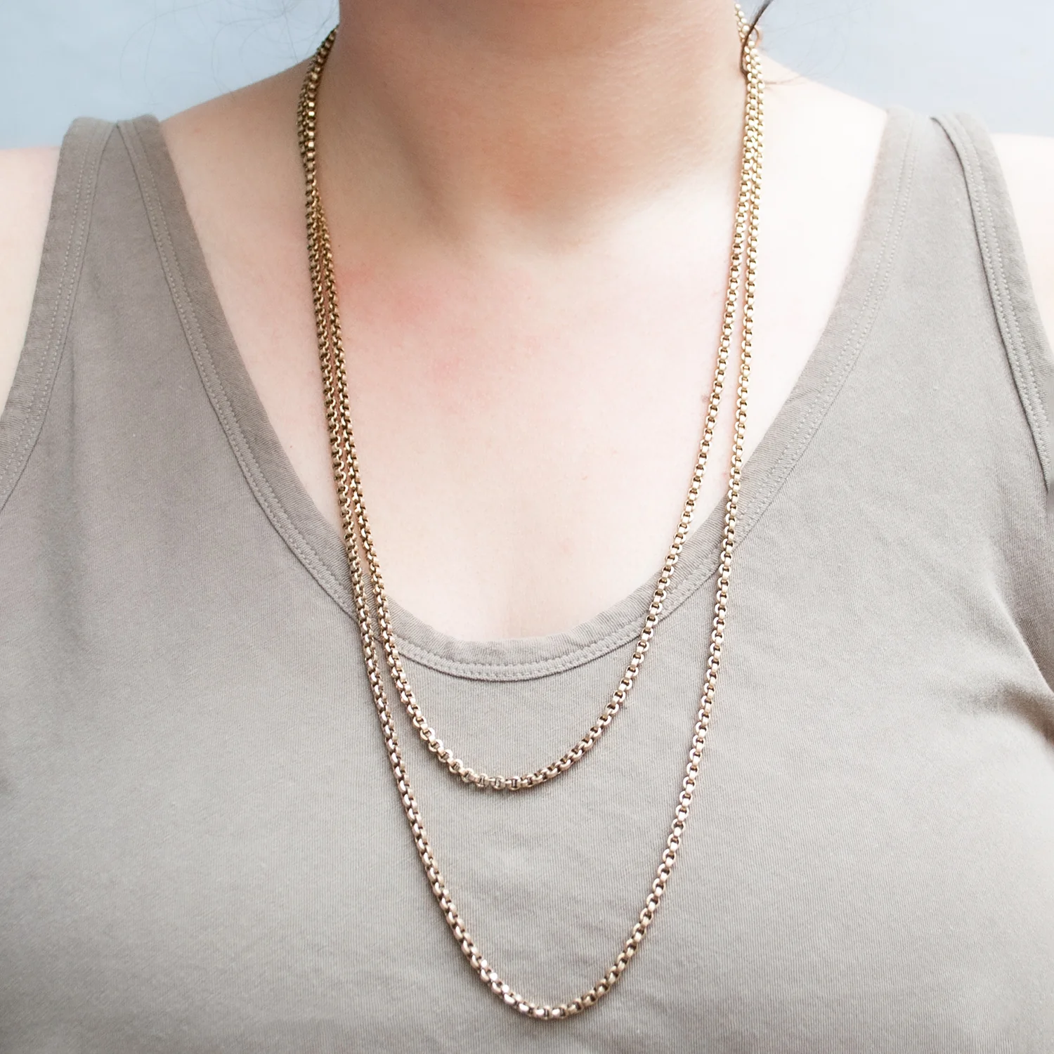 Victorian Long Guard Chain - Image 5
